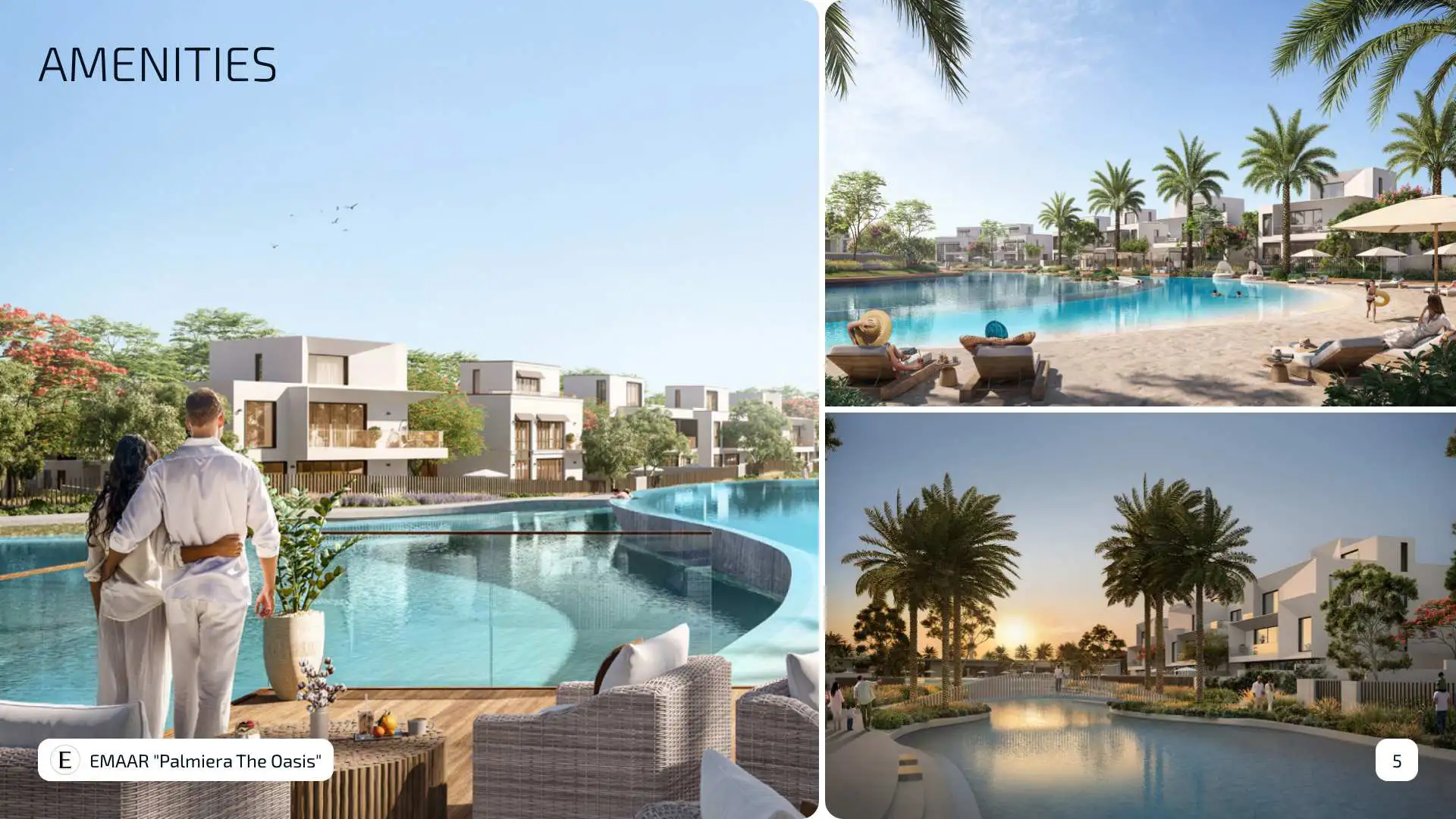 Palmiera The Oasis | ویلاهای لوکس EMAAR در قلب The Oasis دبی - تصویر 4